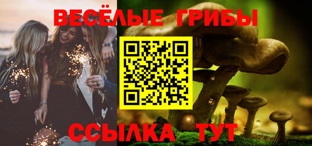 магазин  наркотиков  Псилоцибиновые грибы мухоморы  Вход с VPN  Белово  Псилоцибиновые грибы ЛСД 