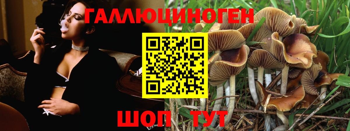 Псилоцибиновые грибы мицелий Белово